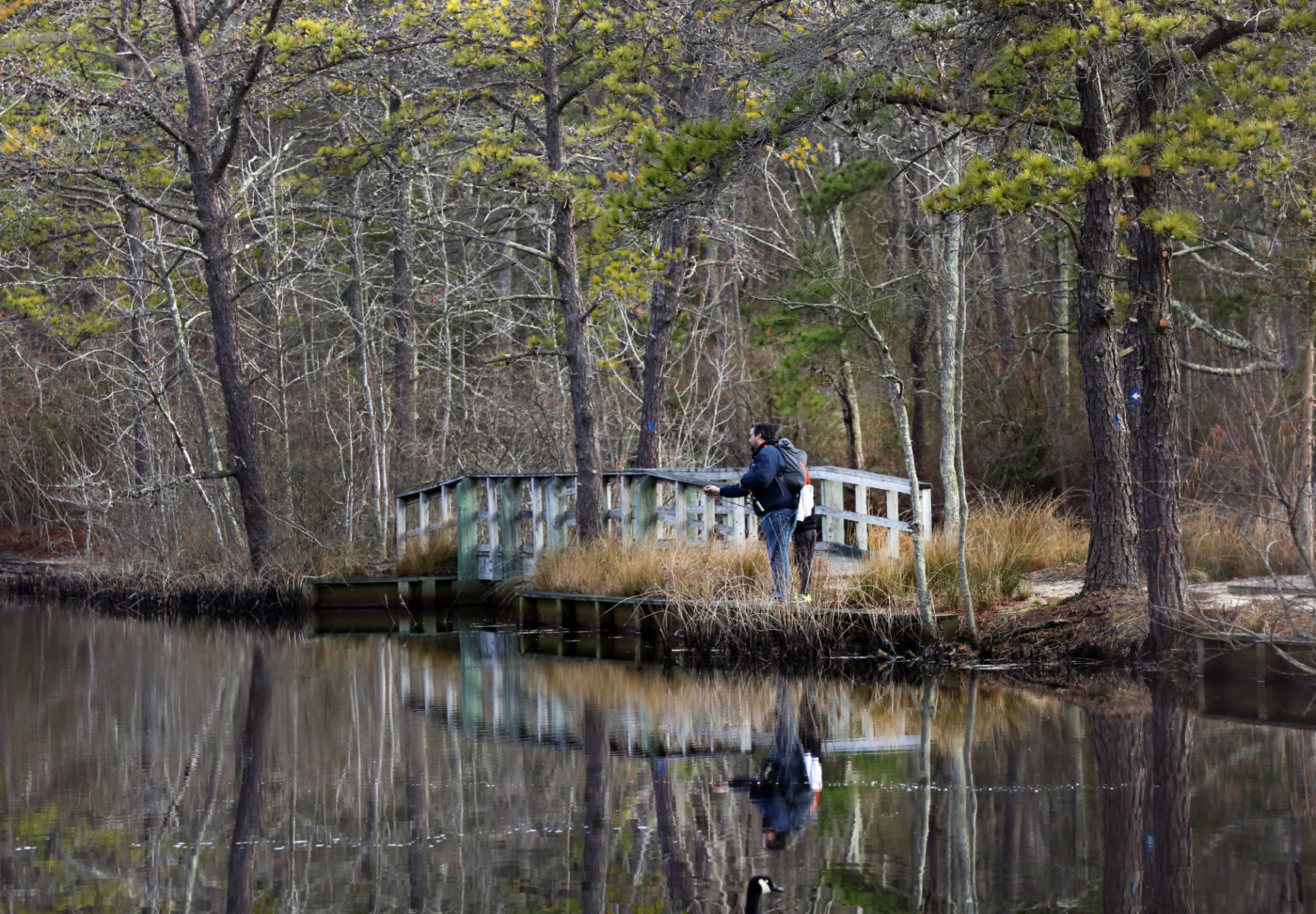 Trout fishing at Birch Grove